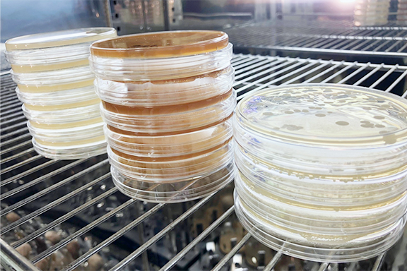 微生物醱酵實驗室
